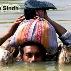 flood in Sindh