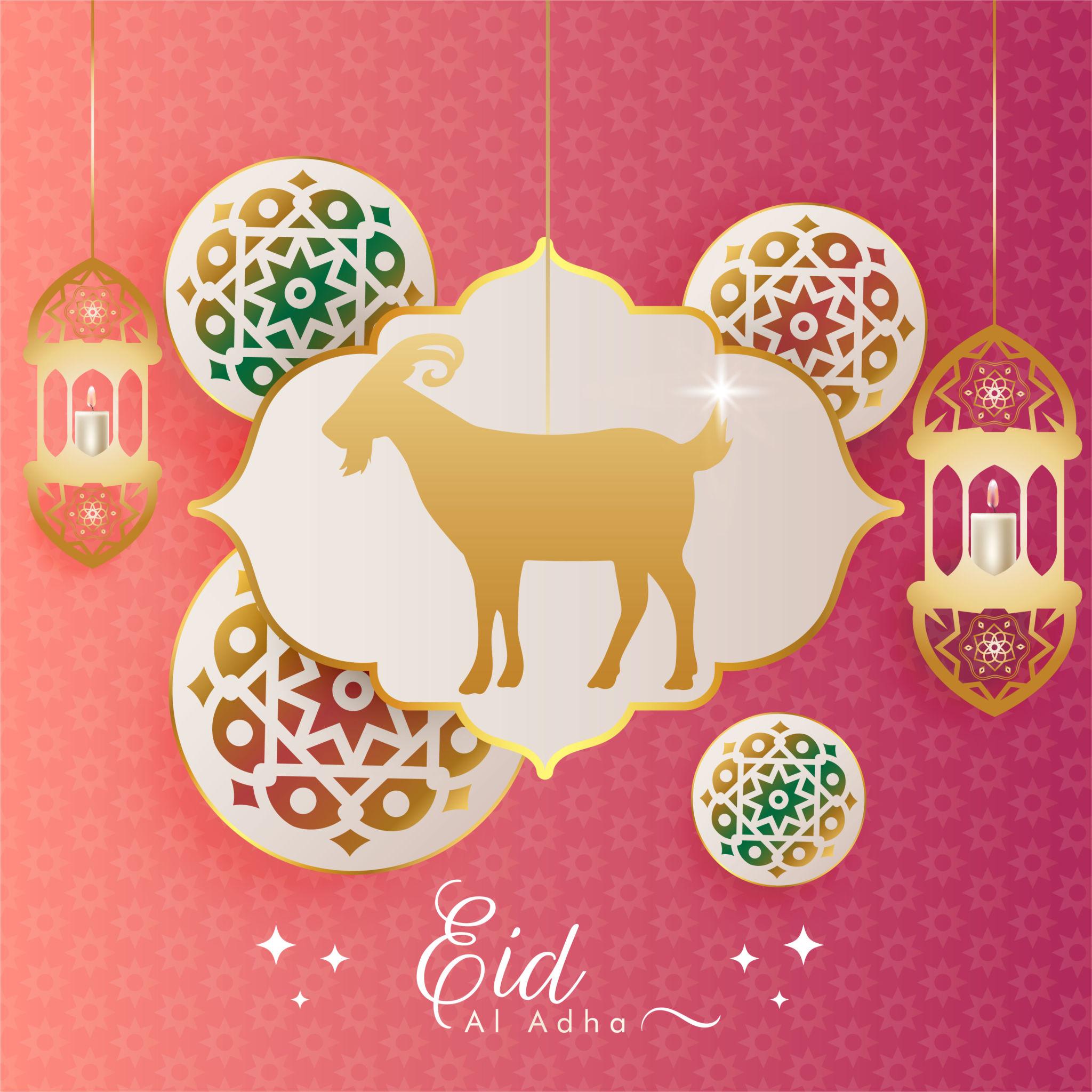 eid ul adha celebrations