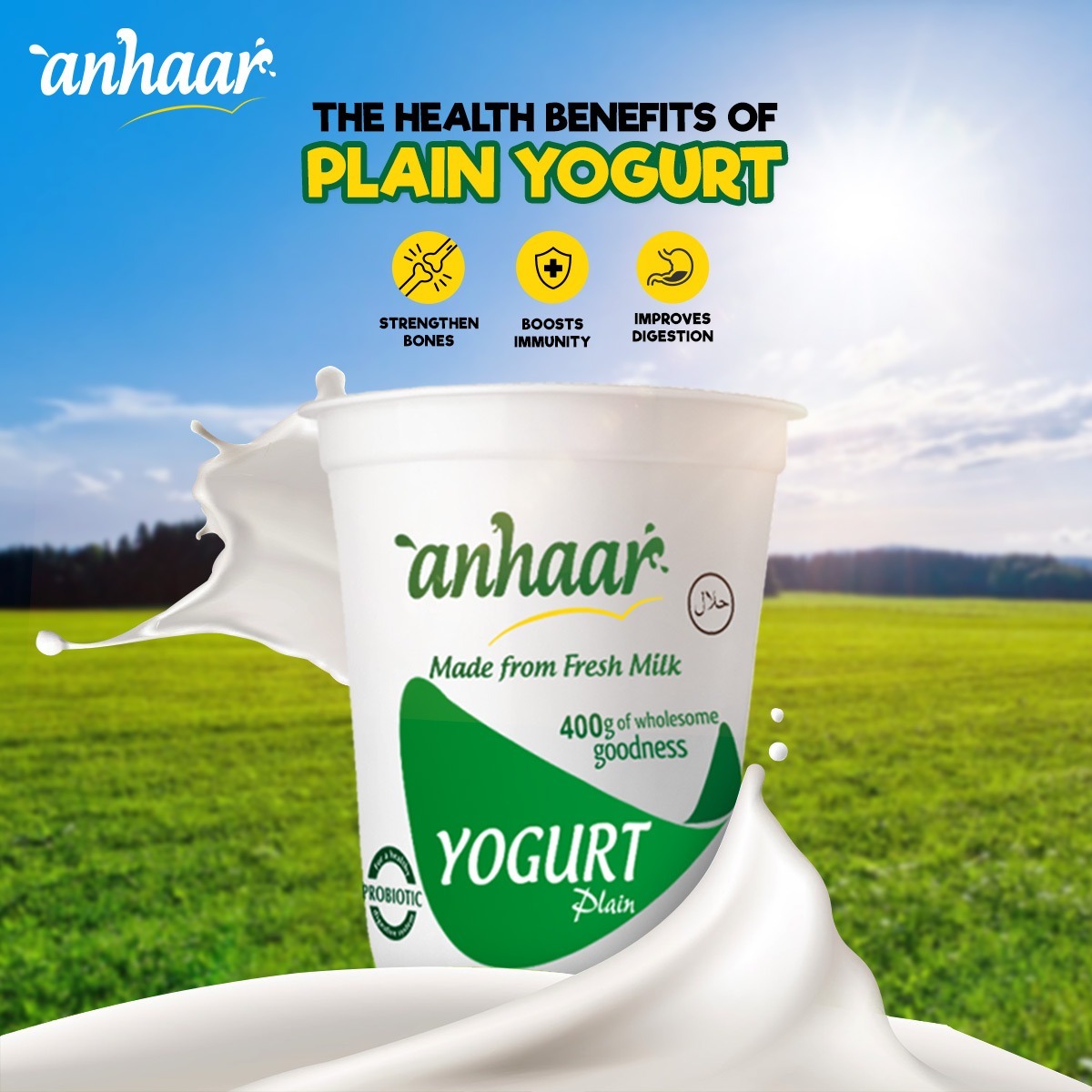 Anhaar Plain Yogurt price