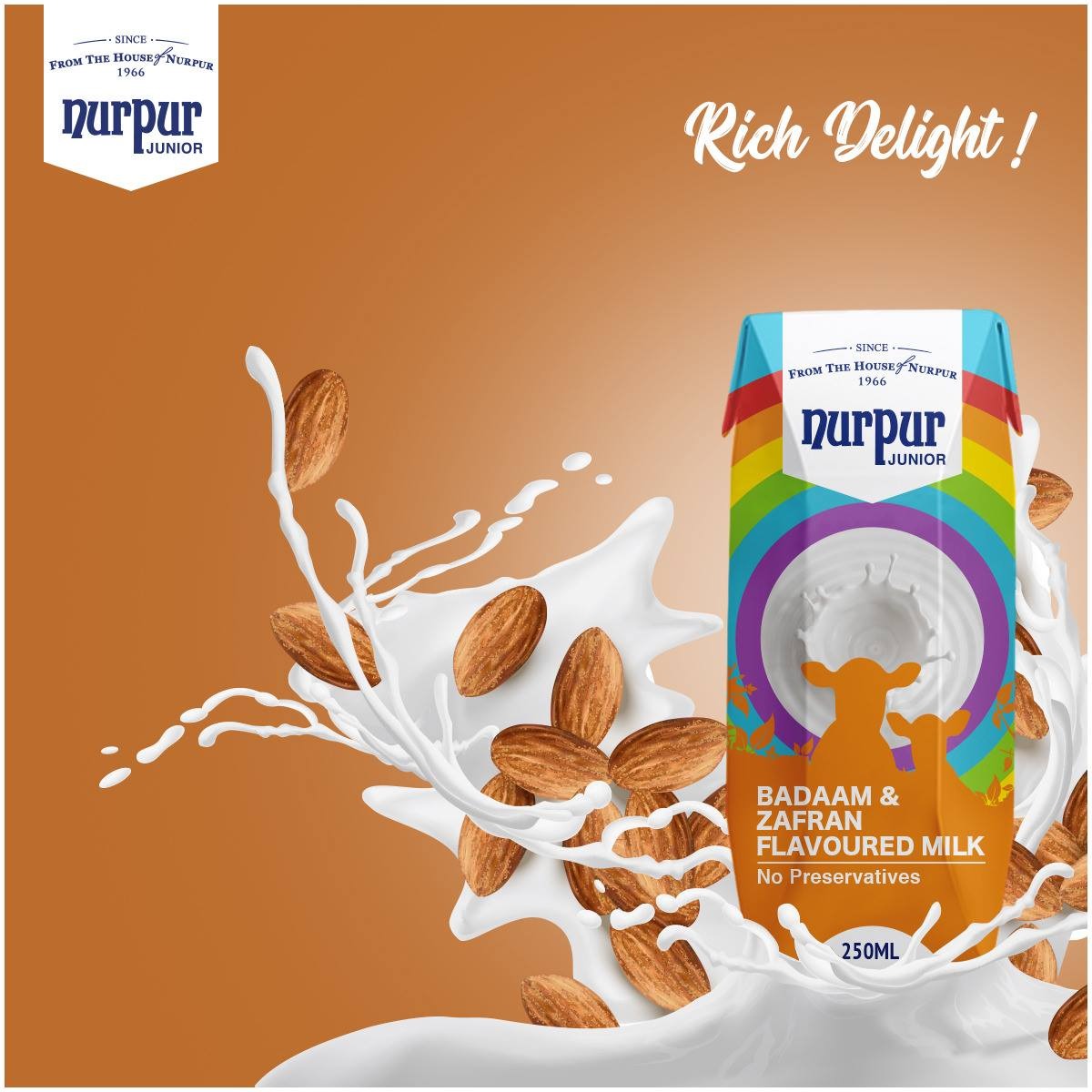 Nurpur Baaam and Zafran Flavoured Milk with price 