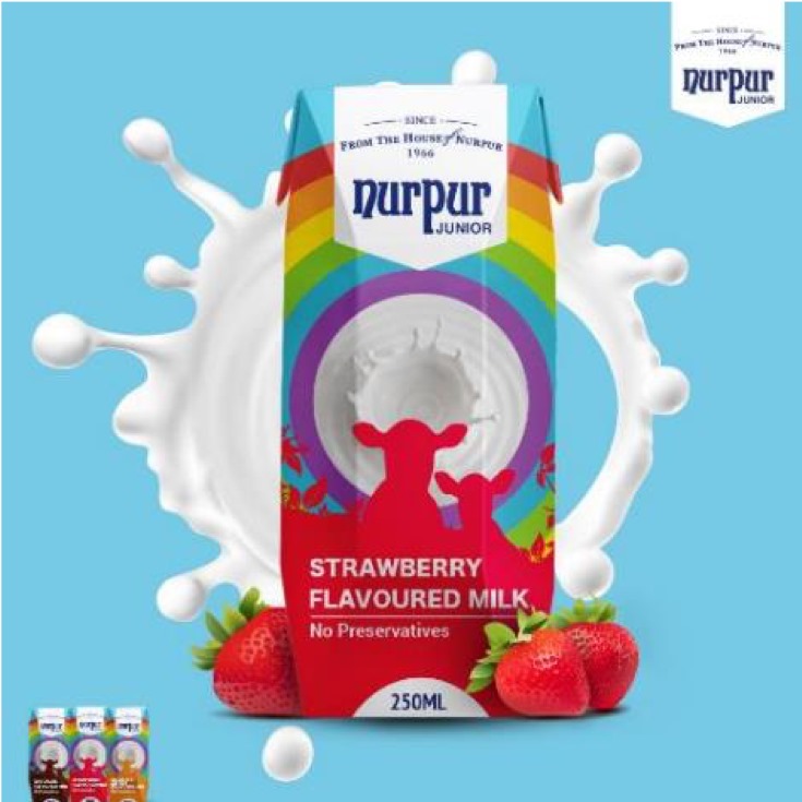 dairy milk brands Nurpur Processed Cheddar Cheese