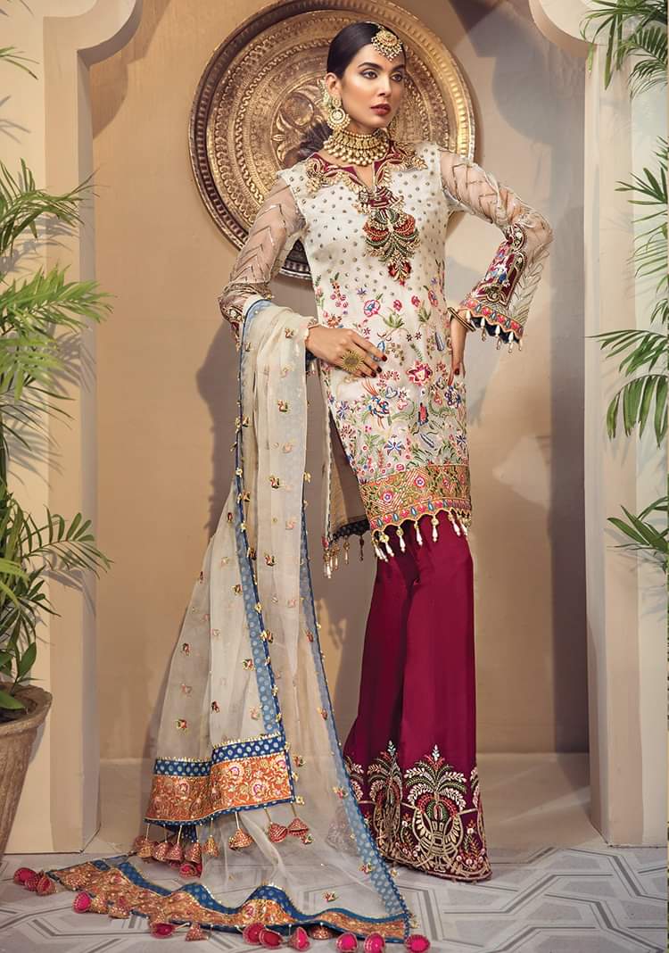Anaya Luxury Chiffon  Collection
