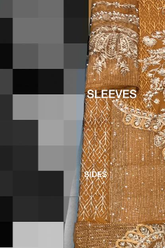 Shiza Hassan - Chiffon