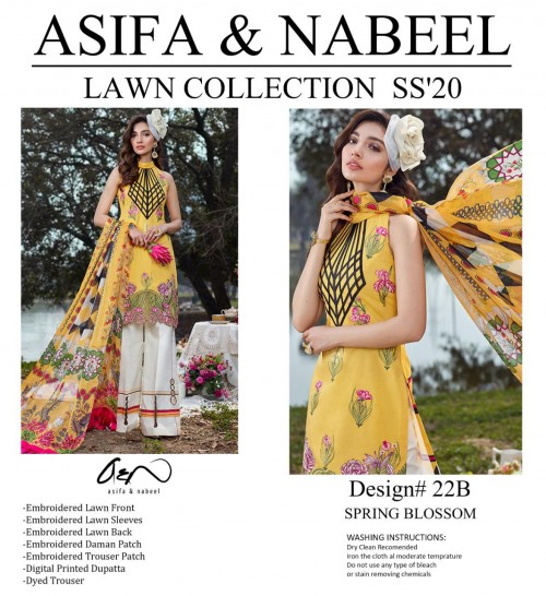 Asifa & Nabeel - Lawn