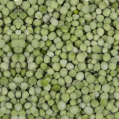 Dried Peas - Sookhay Mattar