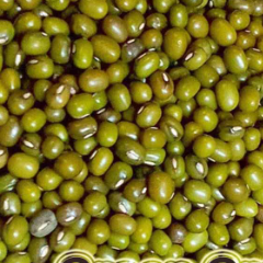 Green Gram Whole - Moong Sabat