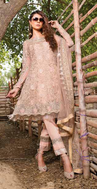 Embroyal Chiffon 3 Pc