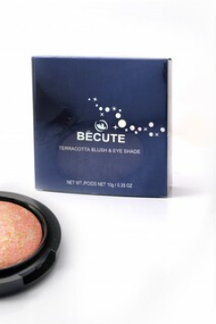 Becute Terra Cotta Eyeshade & Blusher 08