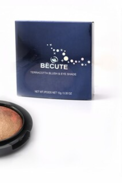 Becute Terra Cotta Eyeshade & Blusher 06