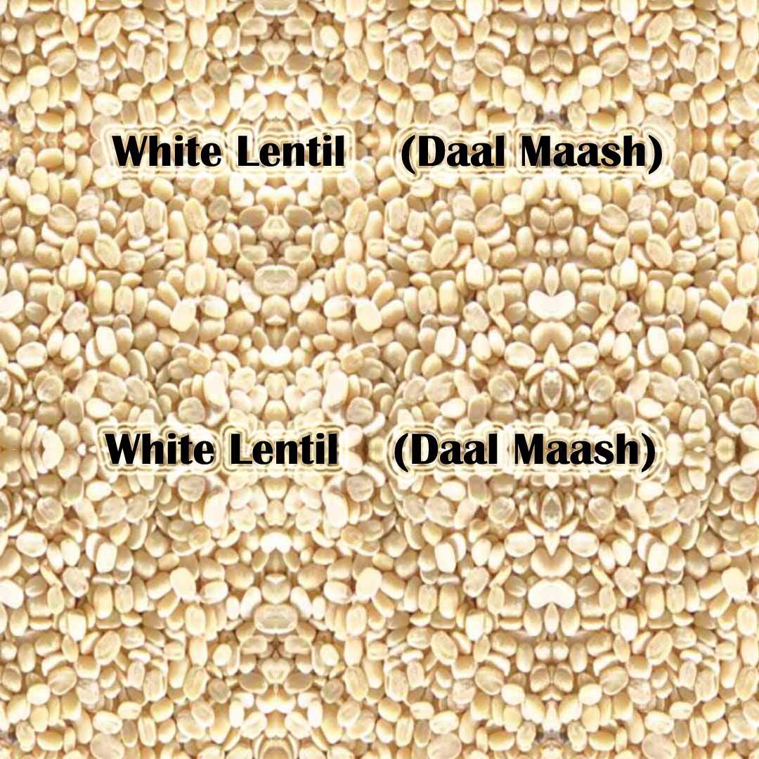 White Lentil - Daal Maash